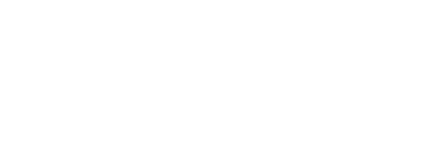 Raquel Amorim